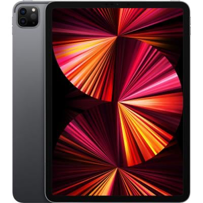 iPad Pro M1 ( 12,9 inch )